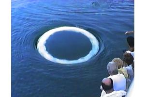 WhaleSETI: Curious Humpback Whales Approaching Humans and Blowing Bubble “Smoke” Rings