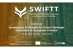 AI Tackles Insect Damage in European Forests: Insights from the EU Project SWIFTT Webinar