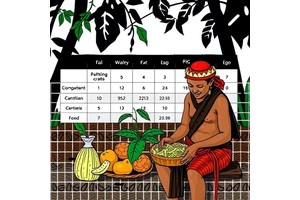 Validating Food Security Scale for Indigenous Brazilians