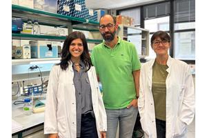 Innovative Tool Developed to Induce Aneuploidies and Study Their Effects on Development