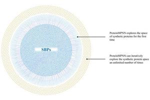 Enhancing the Diversity of Synthetic Binding Proteins Through a Deep Learning Framework: Introducing ProteinMPNN
