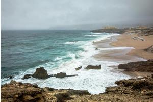 Sixty Years of North Atlantic Phytoplankton Data Show Up to 2% Yearly Biomass Decline, Threatening Marine Food Webs Amid Climate Change