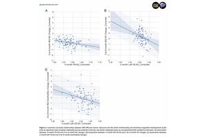 Infant Brain Connectivity at 3 Months Forecasts Emotional Development