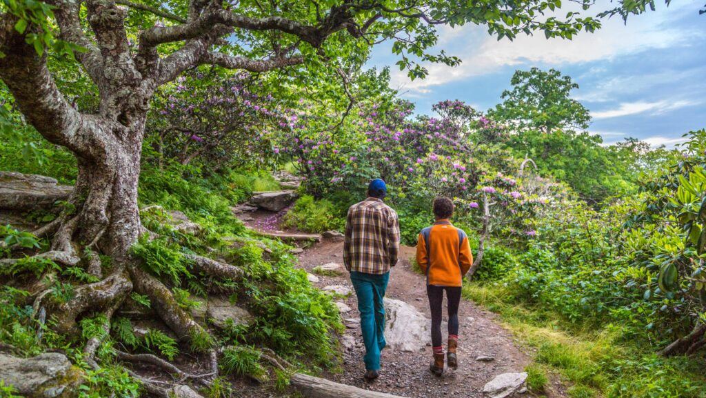The Best Trails Around Asheville, According to a Local Hiker
