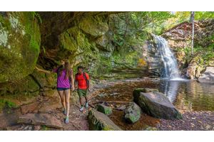 The Sustainable Travel Guide to Adventures in Michigan