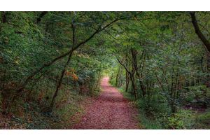 The Midwest Is Full of Good Backpacking. Yes, Really.