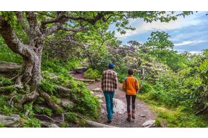 The Best Trails Around Asheville, According to a Local Hiker