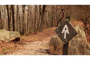 Top 10 Pieces of Advice for Beginner Thru-Hikers