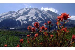 Print & Go: Ape Canyon, Mt. St. Helens National Monument
