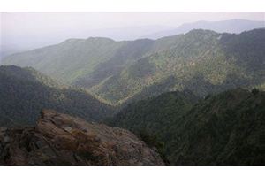 Print & Go: Charlies Bunion Loop, Great Smoky Mountains NP