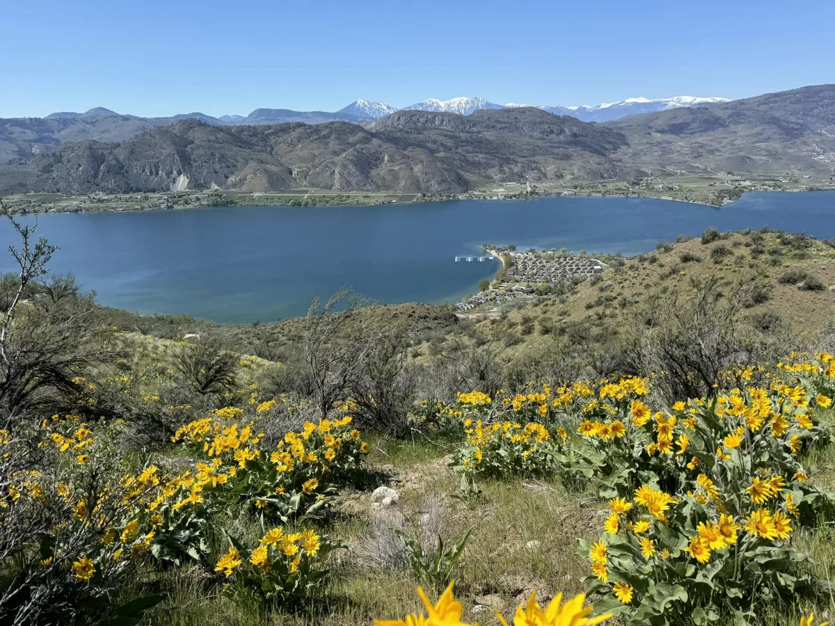 7 Great Reasons to Take an Oroville, Washington Road Trip