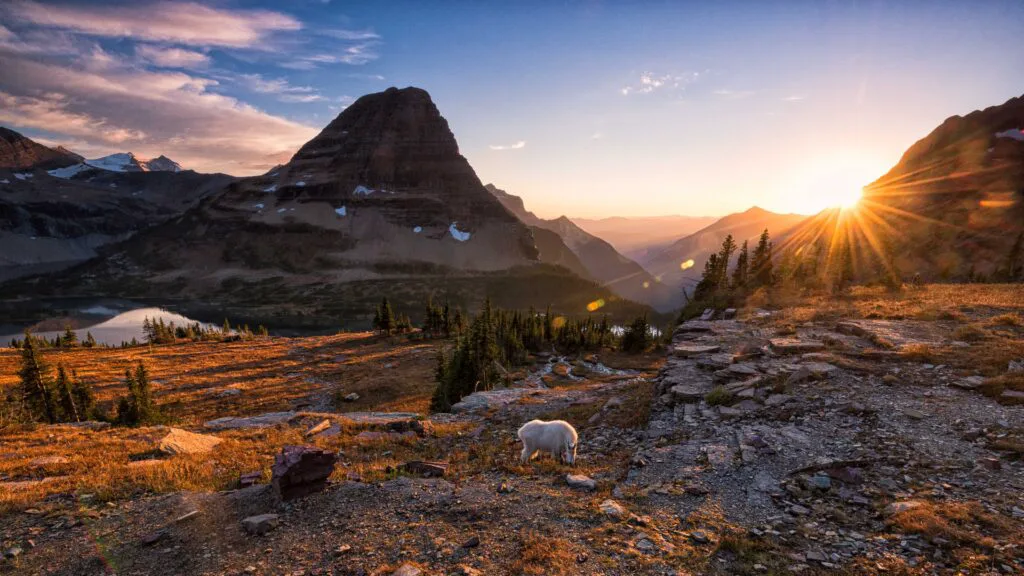 Sunbeams behind a rocky hillside in the background of a rugged wild nature landscape.