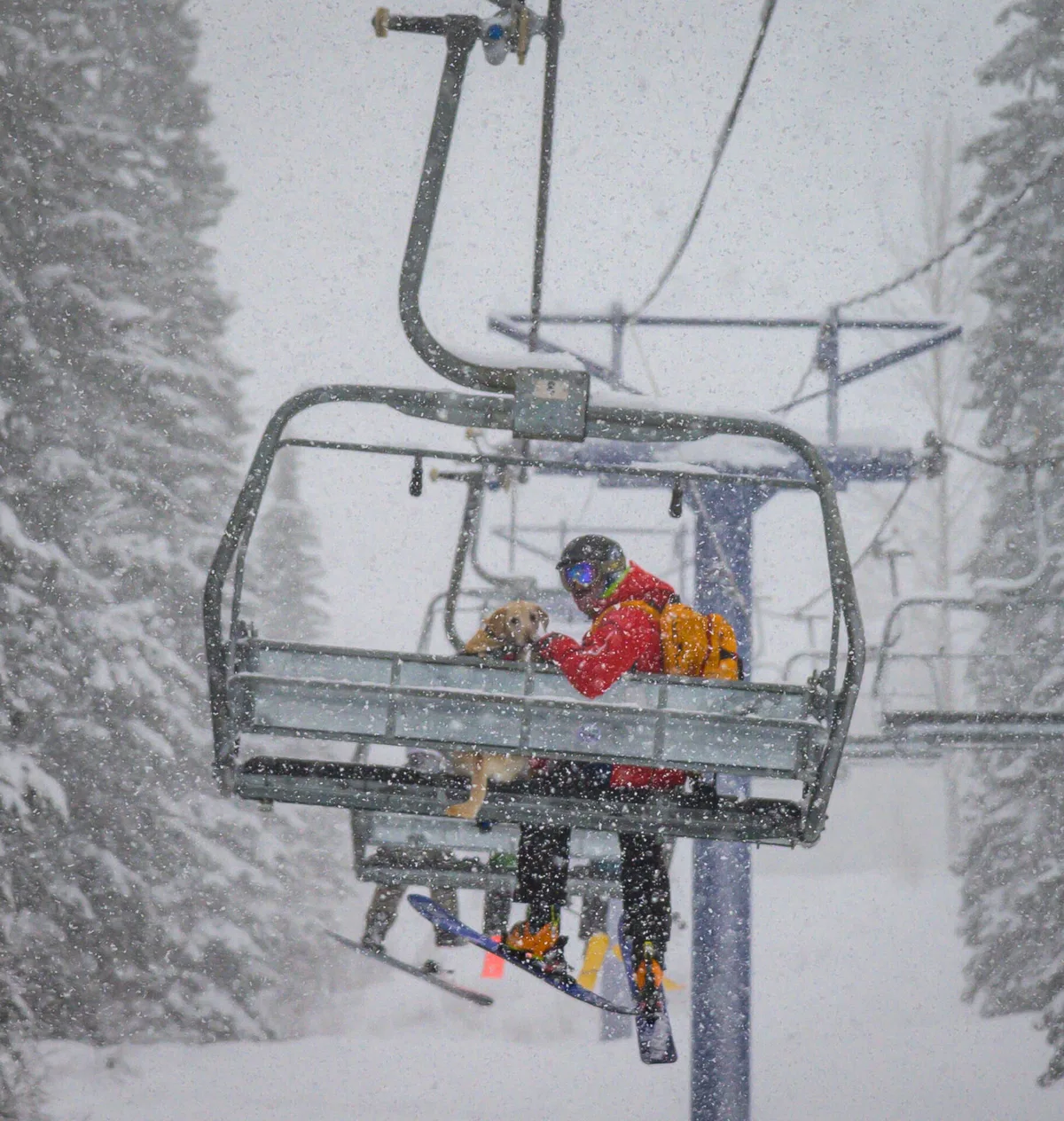 An avalanche dog and his owner on a chair lift.