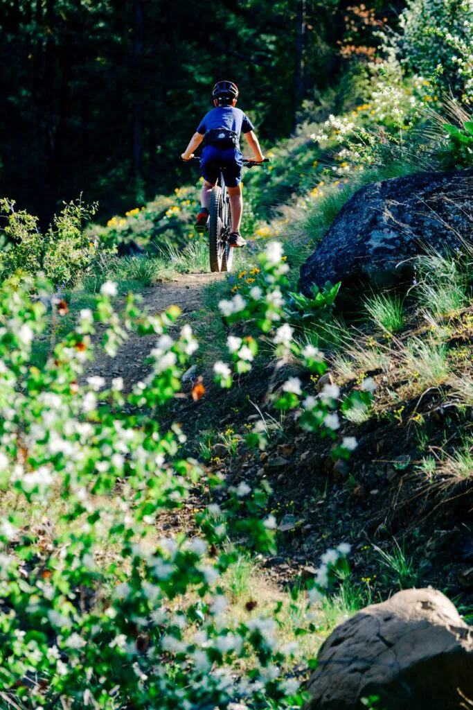 Young mountain biker riding on a singletrack trail alonside wildflowers and boulders.