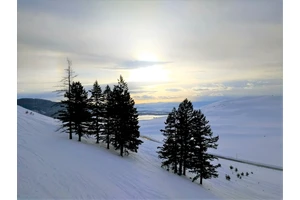 15 Alpine Ski Areas in Washington State