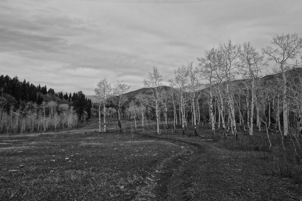 The Overlook: Observing Transition Season