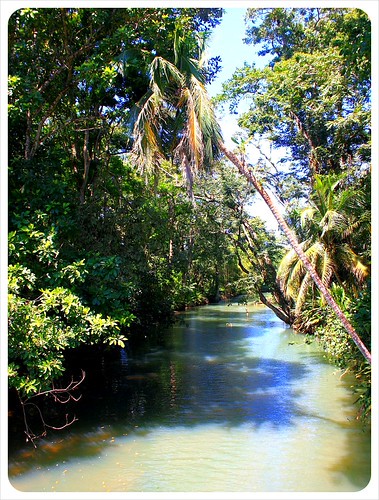 Puerto Viejo cycling