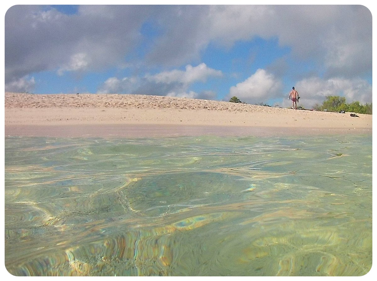 visiting the galapagos