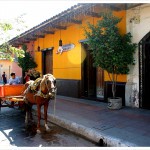 Horse-carriage granada nicaragua