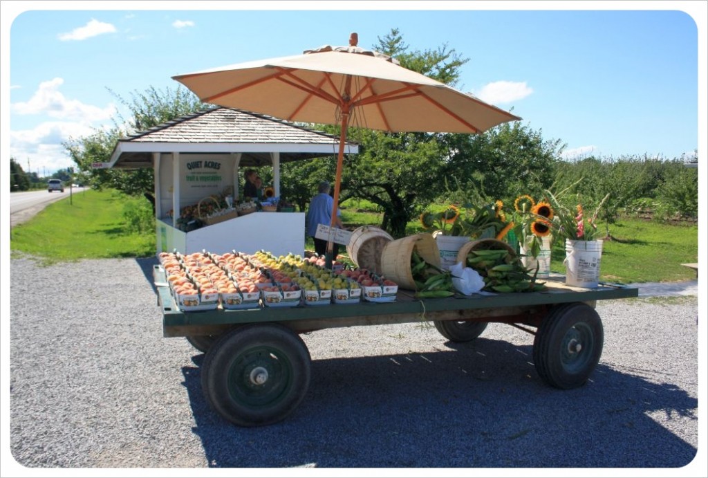 niagara wine country fruit stand