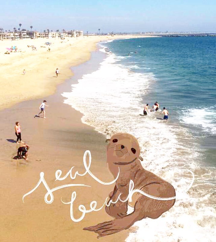 seal beach california