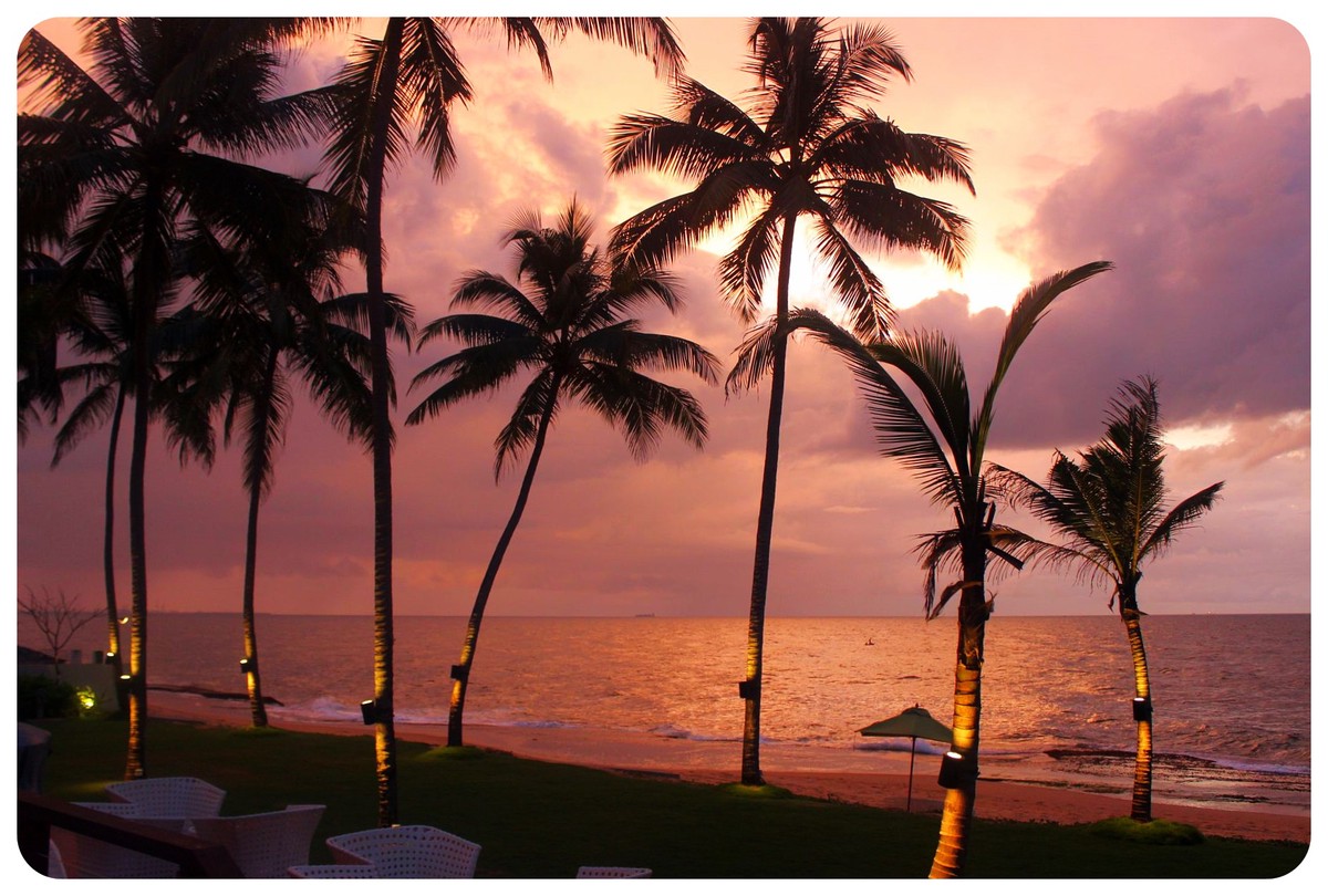 reefs edge hotel sunset