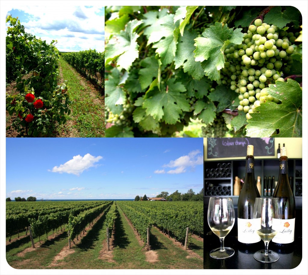 niagara wine country ontario