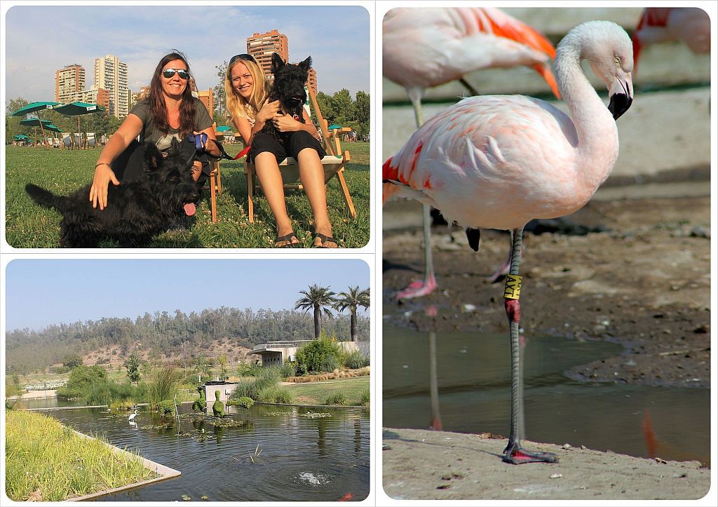 Parque Bicentenario Santiago De Chile