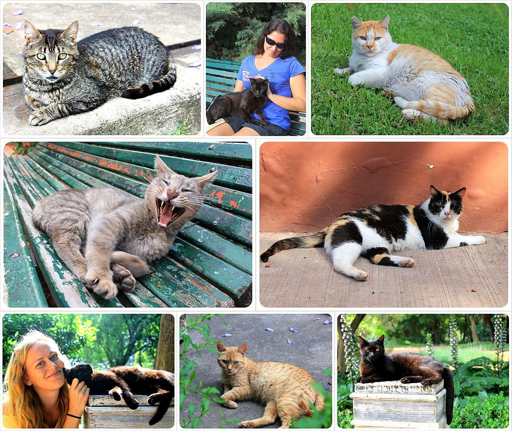 things we love about buenos aires