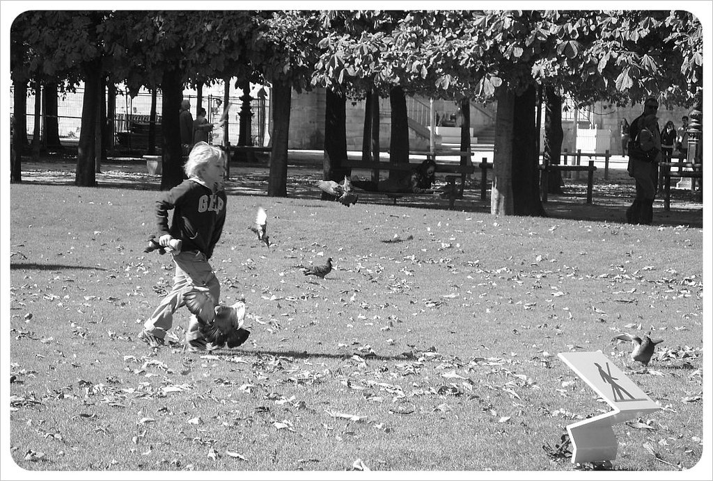 Jardin Tuileries Paris