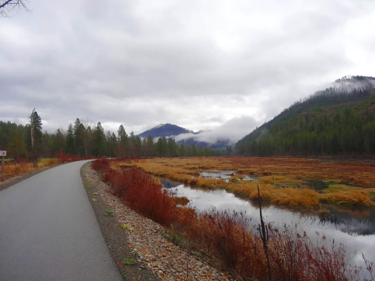 Escape to North Idaho for Fall Colors and Wildlife