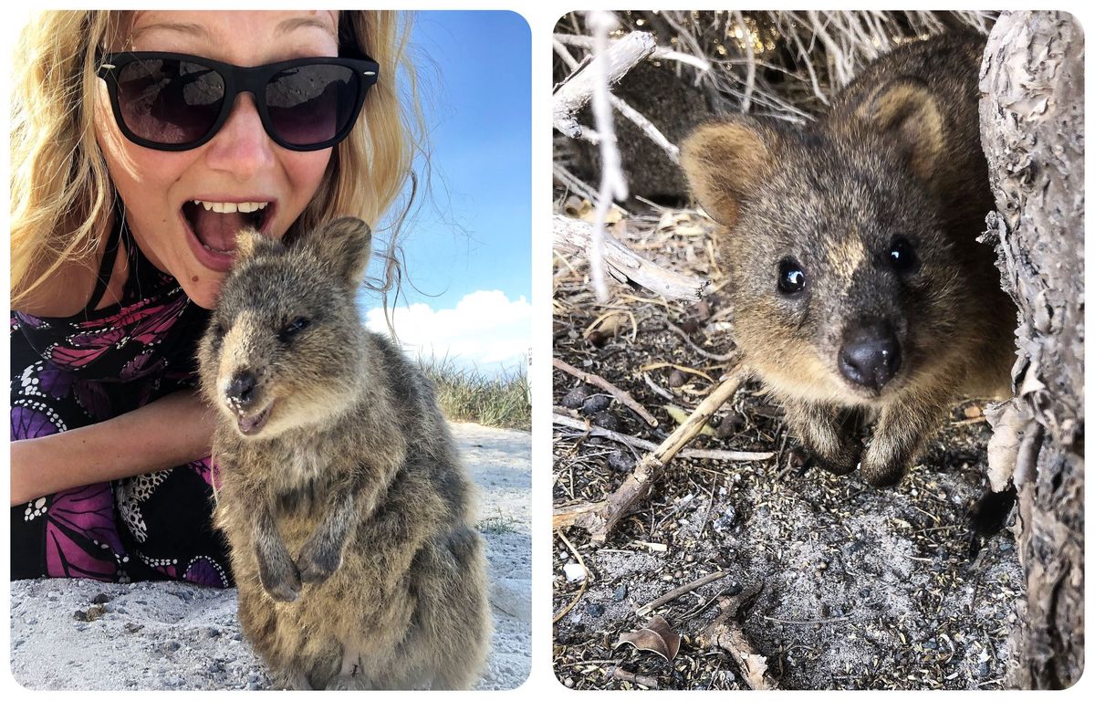 Reasons to visit Perth