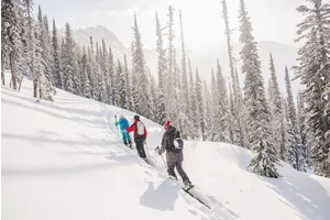 Coldsmoke Powder Festival 2020