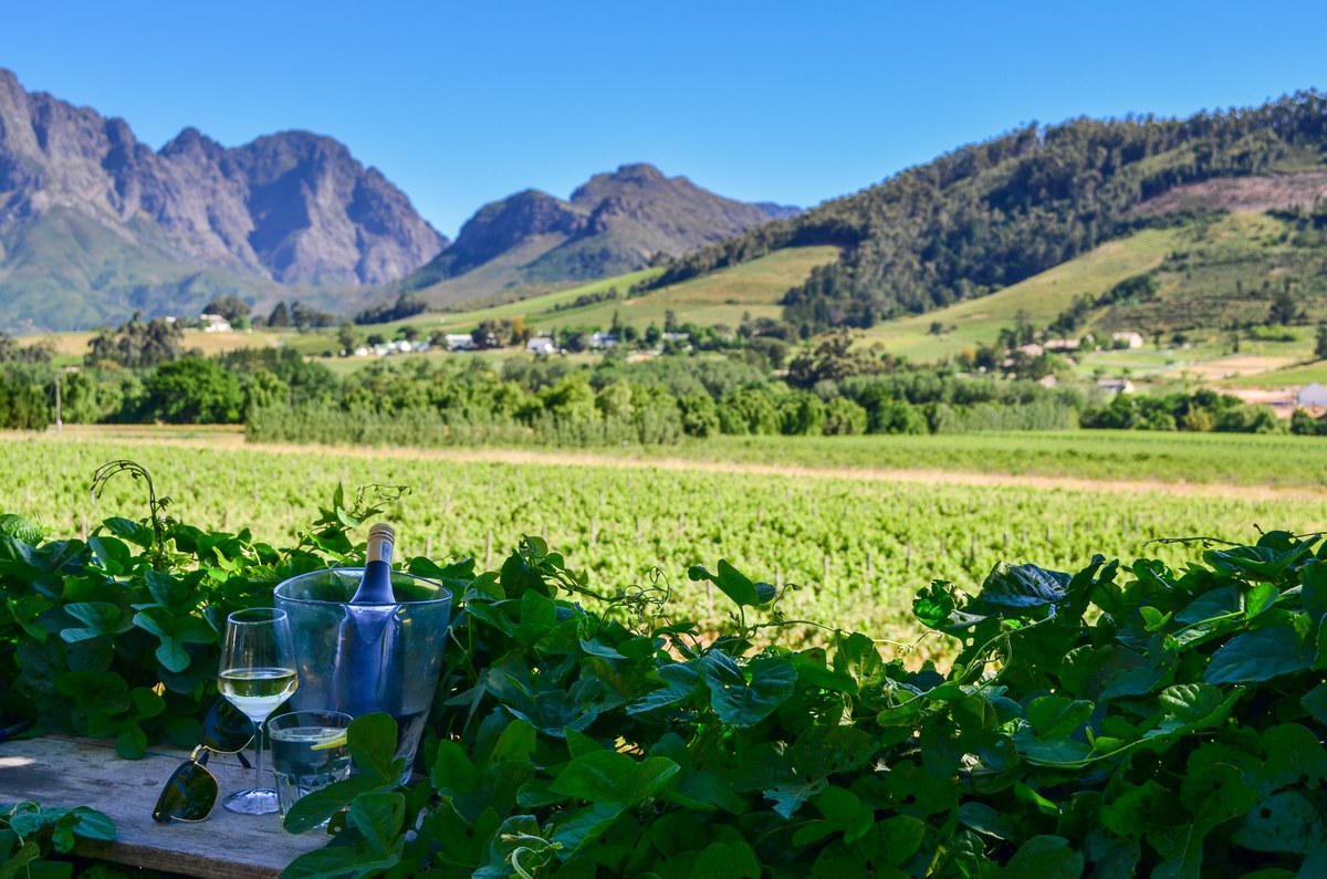 Wine of South Africa