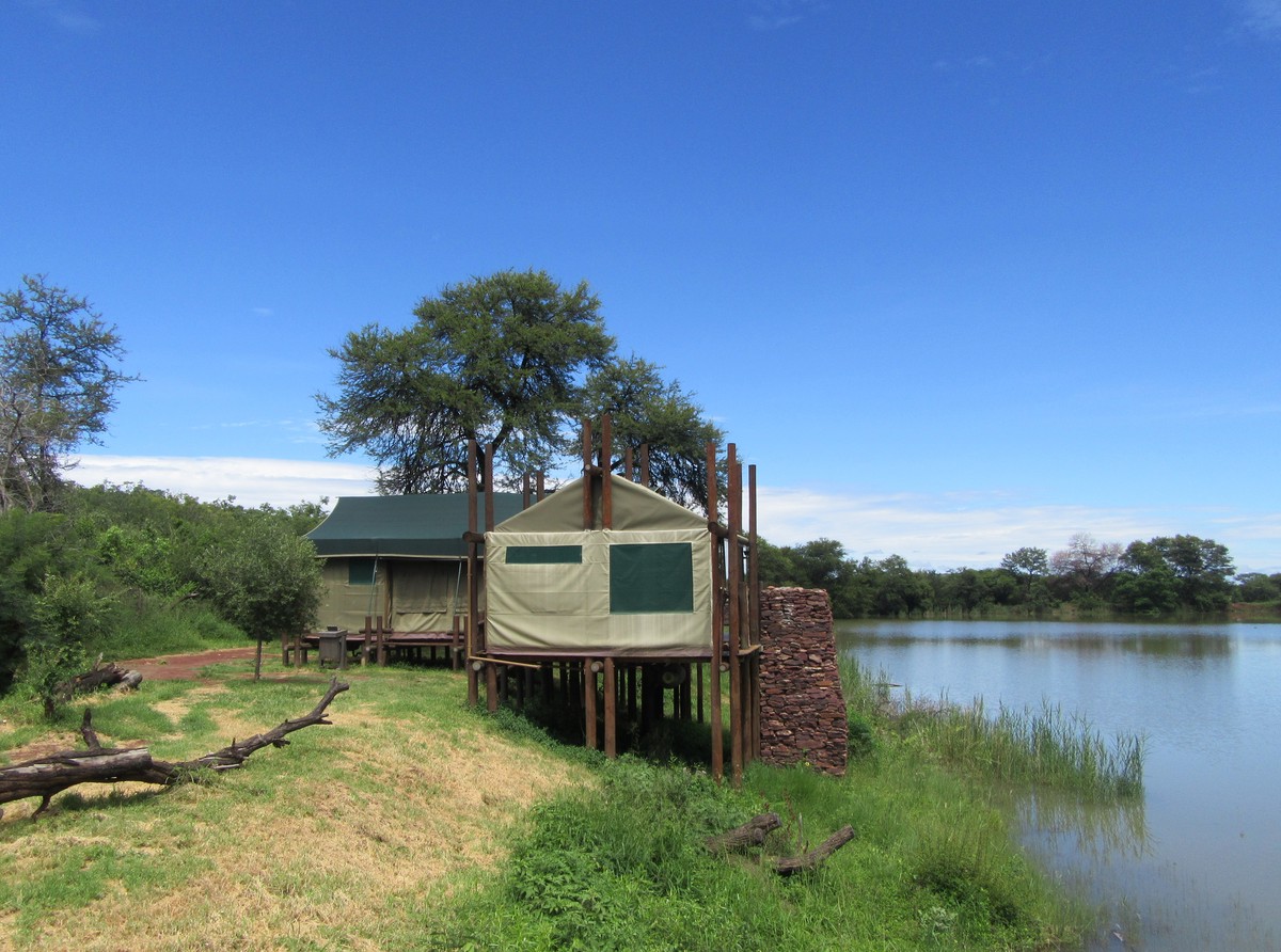 Safari Tent Tlopi Tented Camp Marakele South Africa