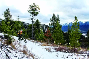 Planning a Fall Fernie Road Trip