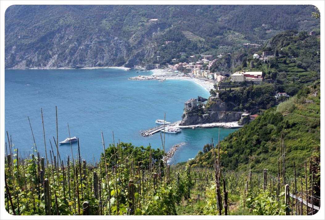 Cinque Terre vineyard & Monterosso view