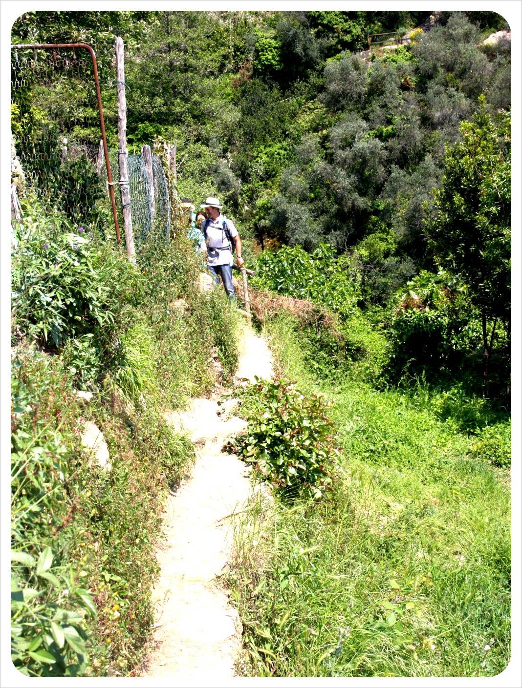 Cinque Terre path