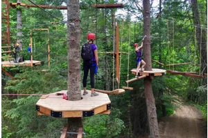 Play in the Trees at Mica Moon