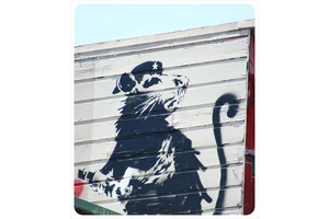 The Best Street Art in San Francisco