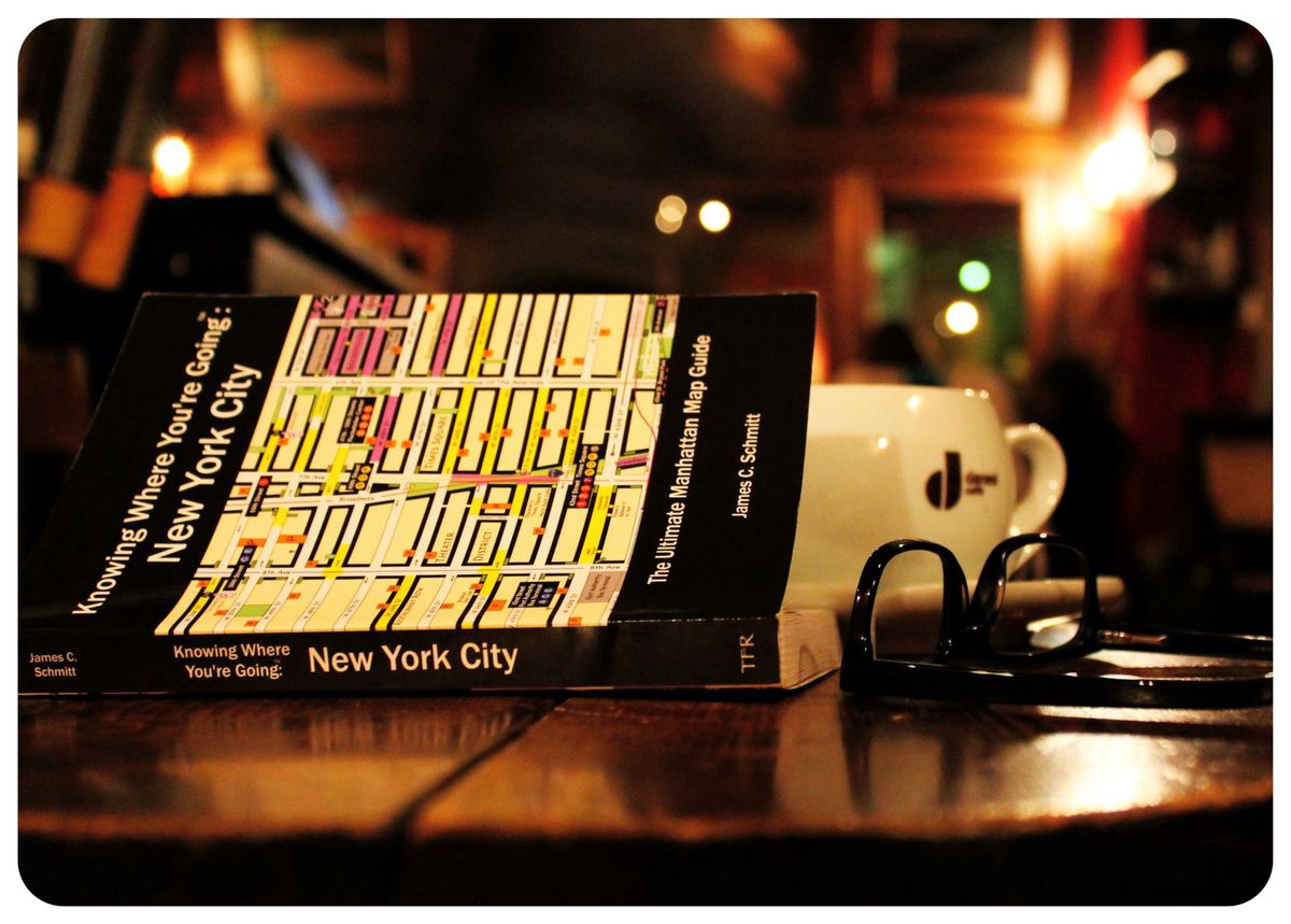 new york city guide book