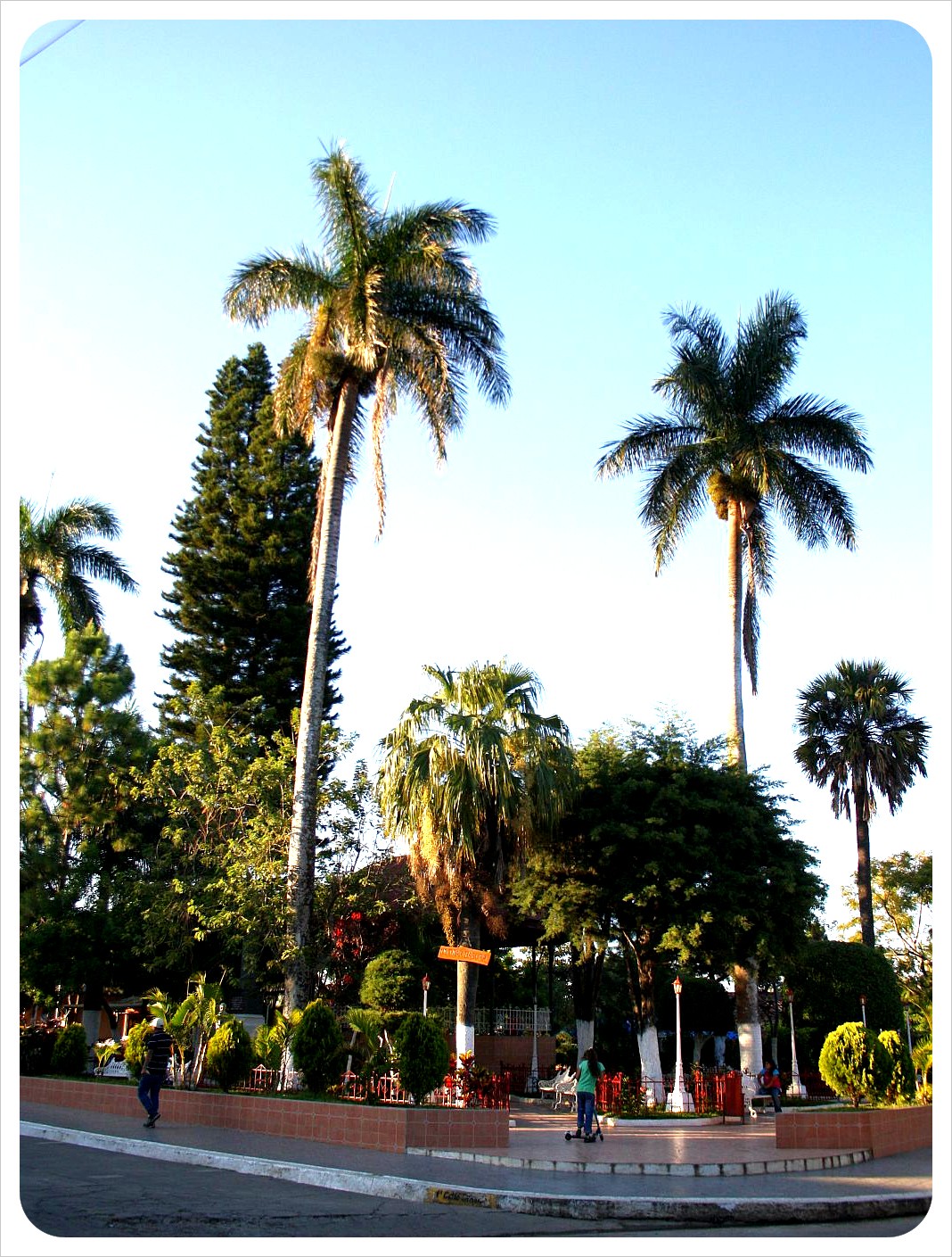 Alegria Parque Central