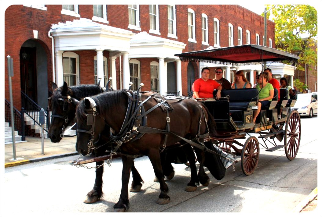 savannah carriage tour