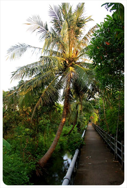 bangkok water & path bang namphueng