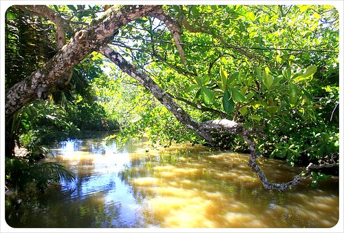 Cahuita national park