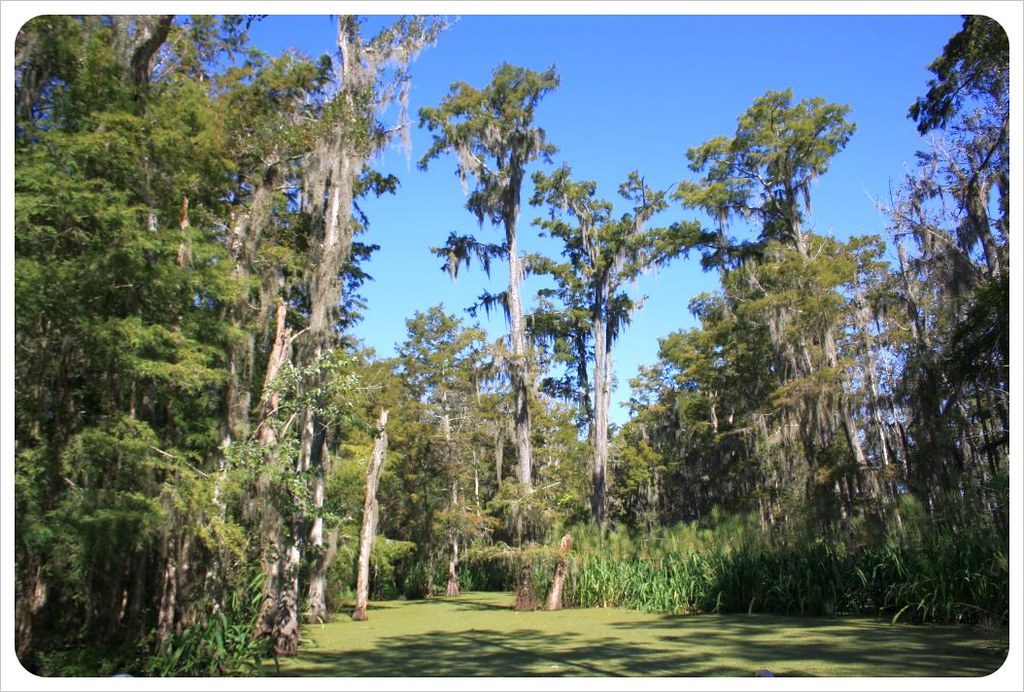 New Orleans day trips