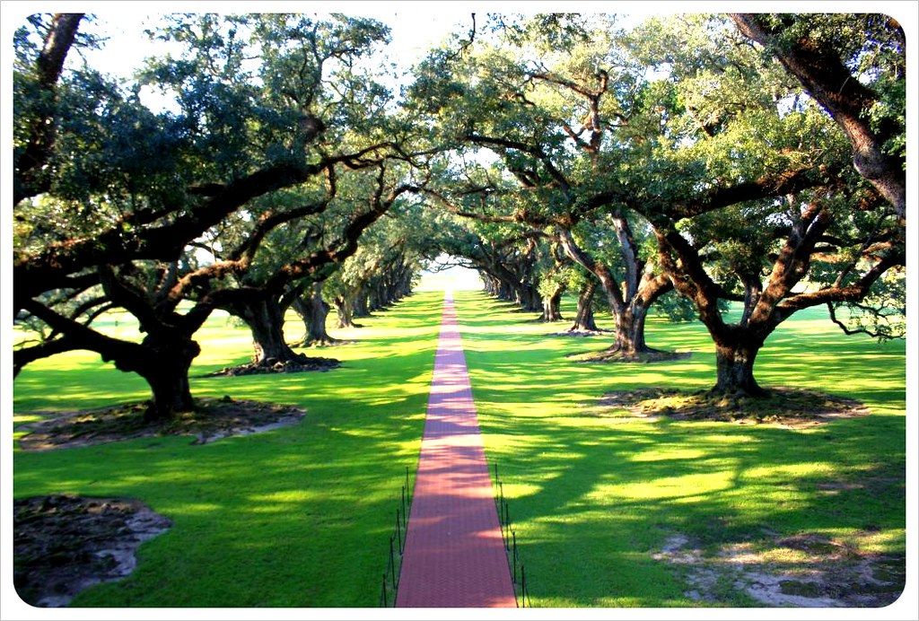 New Orleans day trips