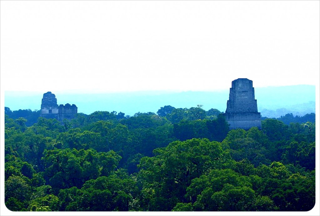 Jungle & ruins in Tikal Guatemala