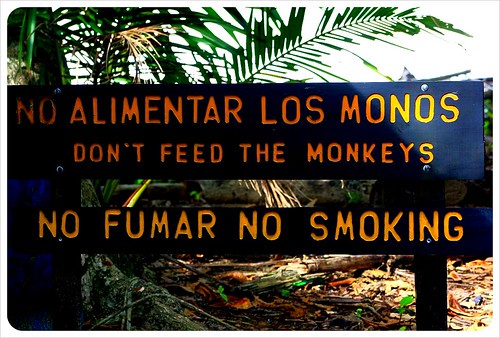 Manuel Antonio vs Cahuita