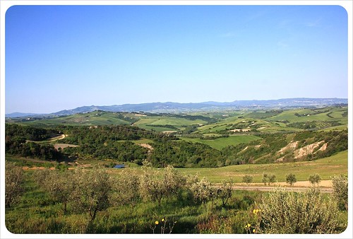 Belmonte vacanze olive trees &amp; view